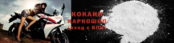 шишки Кодинск
