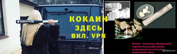 ПСИЛОЦИБИНОВЫЕ ГРИБЫ Кинешма