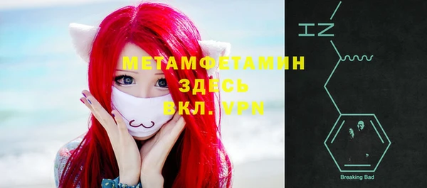 шишки Кодинск