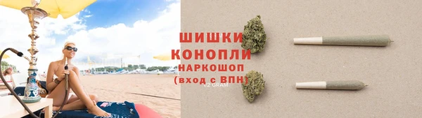 гидра Козельск