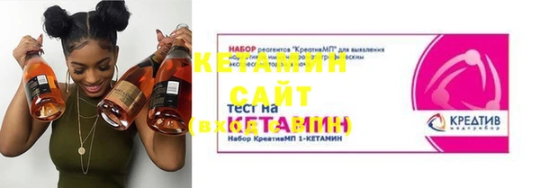 шишки Кодинск