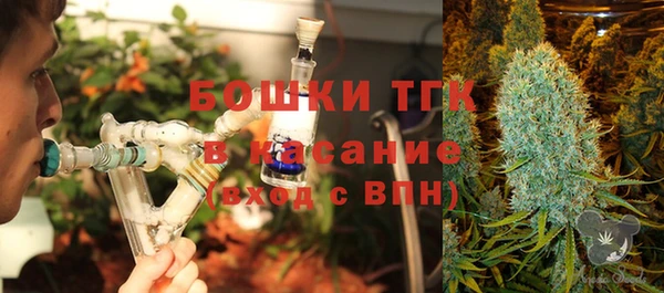 мдпв Козловка