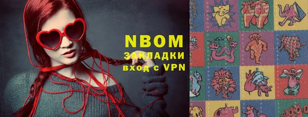 шишки Кодинск