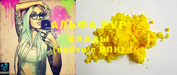 шишки Кодинск