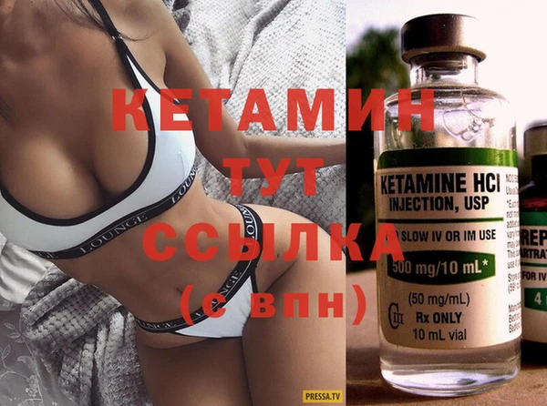шишки Кодинск