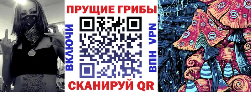 купить закладку Медвежьегорск Псилоцибиновые грибы Psilocybine cubensis